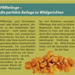 pfifferlinge