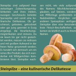 steinpilze