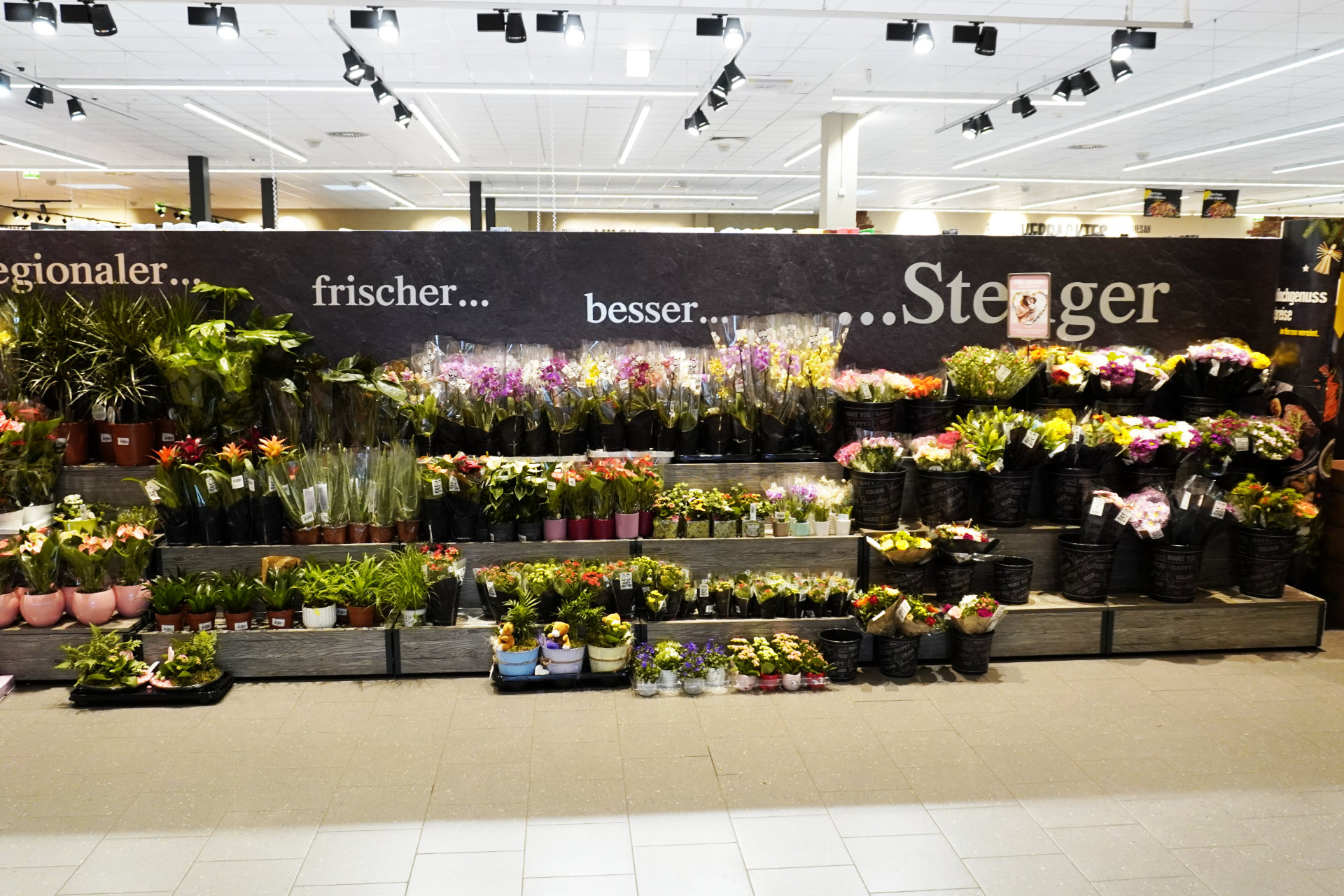 edeka_stenger_markt_miltenberg_8.jpg