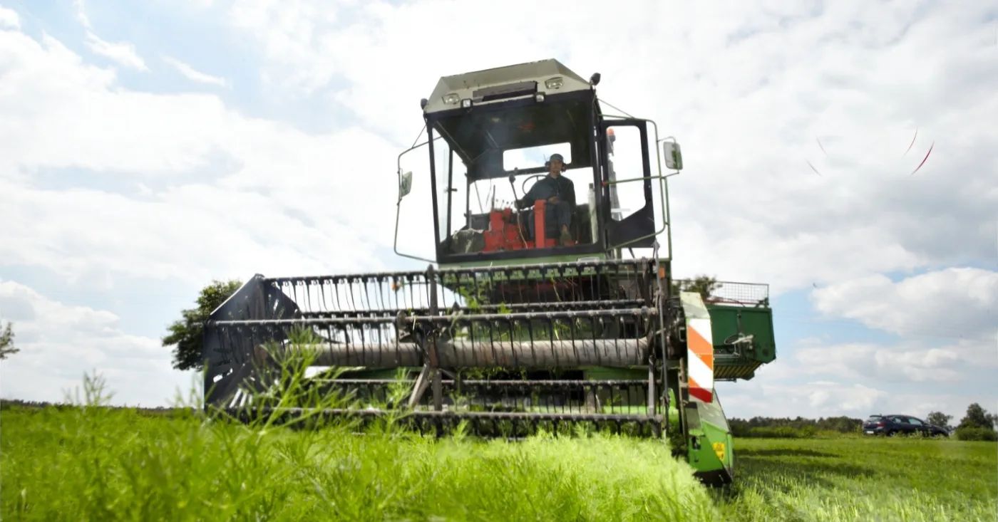 EDORA - Premiumgewürze